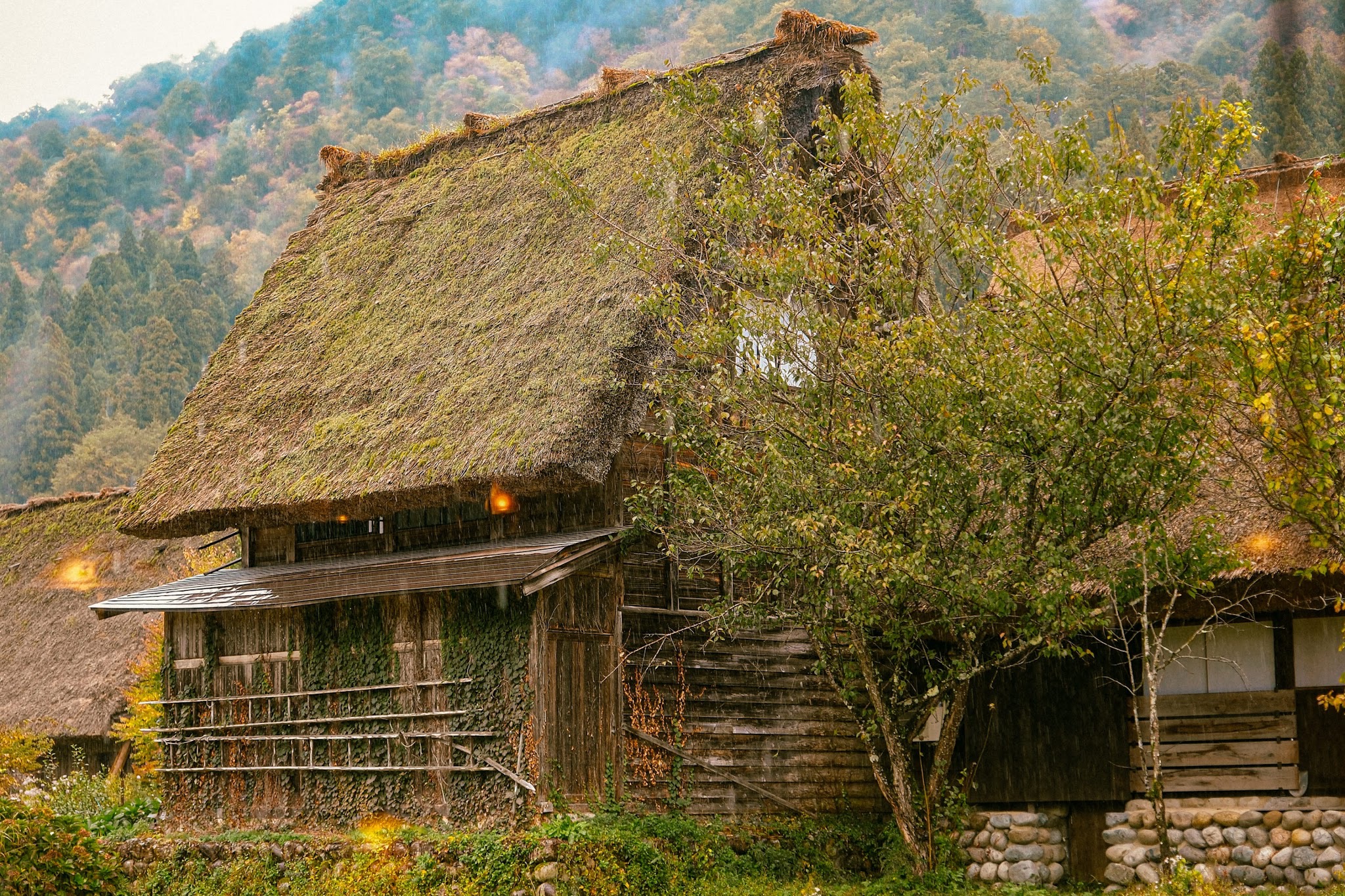 Shirakawago - làng di sản thế giới với nhà mái rơm ở Nhật