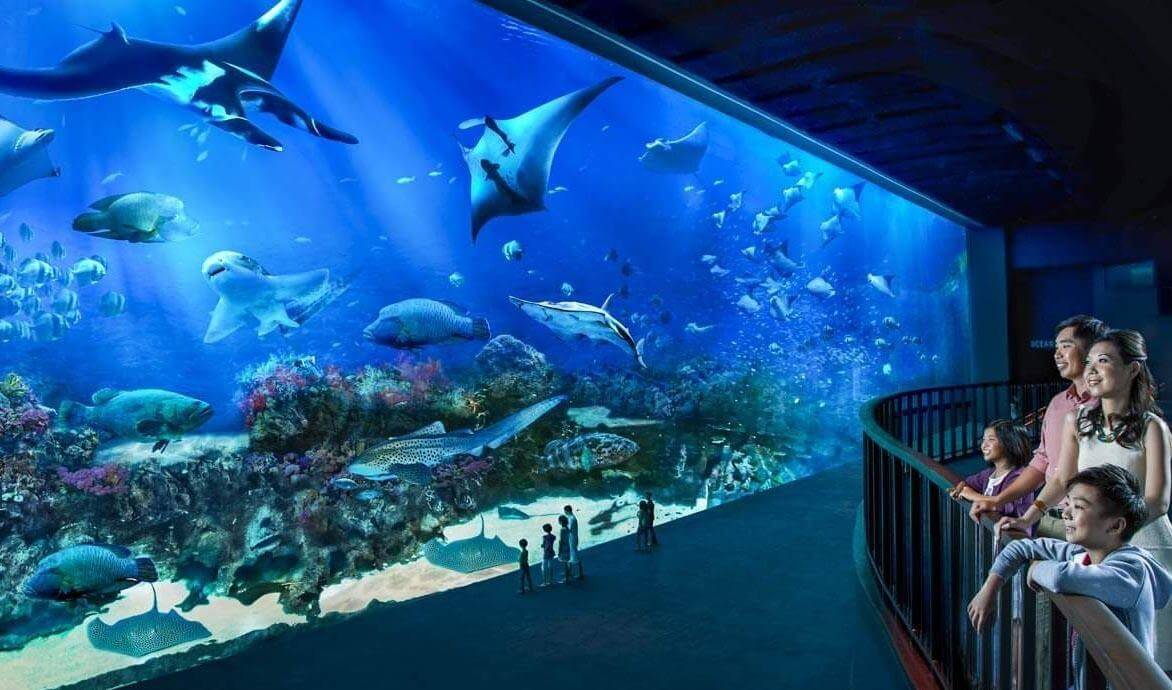 Vé tham quan Thủy Cung S.E.A Aquarium Sentosa tại Singapore