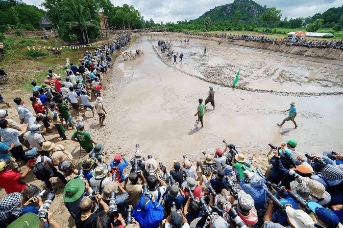 Hội đua bò chùa Rô còn tổ chức cuộc thi ảnh nhanh Marathon dành cho các nhiếp ảnh gia khắp mọi miền đất nước về đây tác nghiệp.