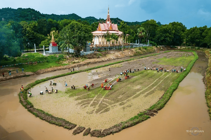 Đua bò là một hoạt động truyền thống của đồng bào Khmer mừng Tết cổ truyền Đôn-ta, như một hành động cảm tạ thiên nhiên, vật nuôi đã góp phần làm nên vụ mùa bội thu, cuộc sống ấm no, sung túc.