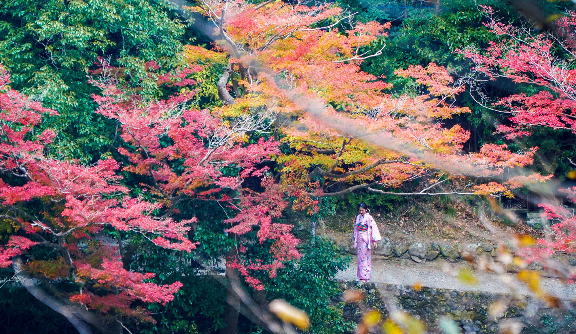 Arashiyama thuộc quận ngoại ô phía Tây, thuận tiện để tham quan trong ngày từ trung tâm Kyoto. Tại đây cũng có nhiều chùa và tháp Nhật, những con phố dài cổ kính, đặc biệt là rừng tre Nagano hàng ngàn cây thẳng tắp, công viên khỉ,...