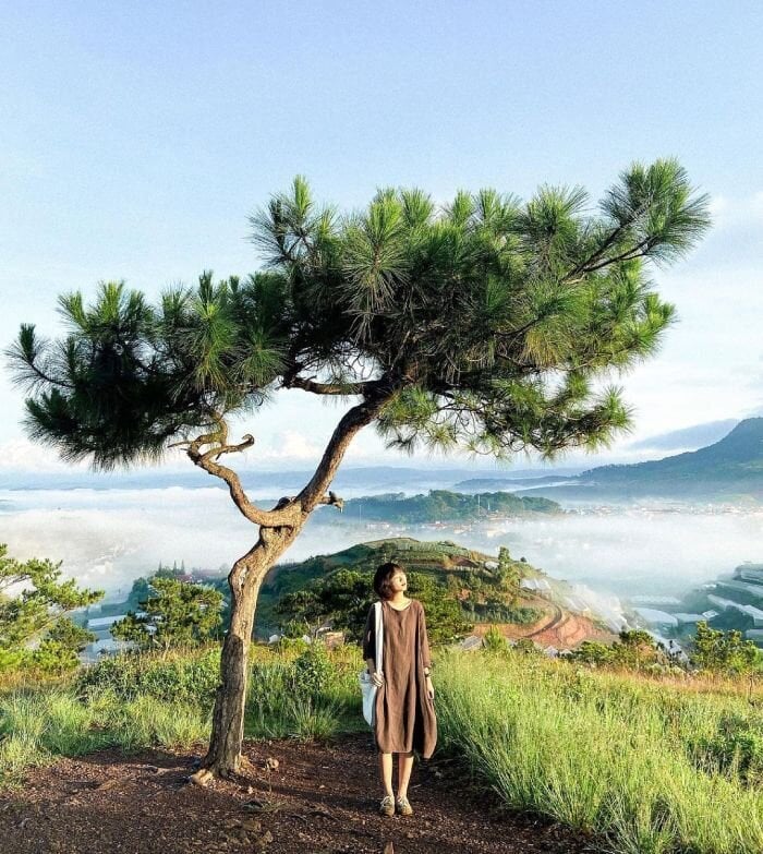 Đồi Thiên Phúc Đức – Đà Lạt.