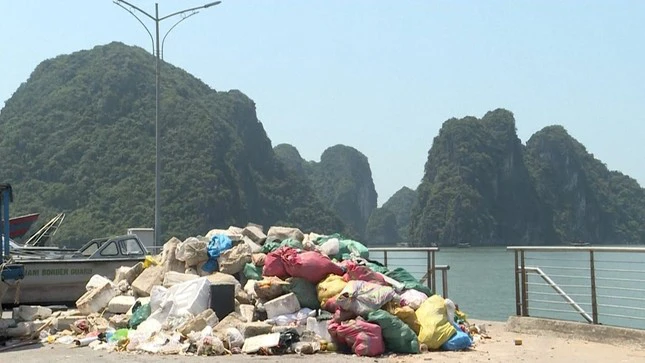Ô nhiễm rác thải khiến giảm chất lượng trải nghiệm tại vịnh Hạ Long