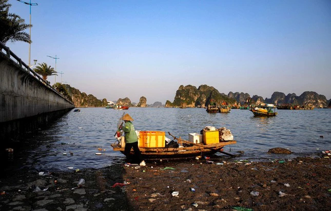 Cần tăng cường hoạt động dọn dẹp tại vịnh Hạ Long