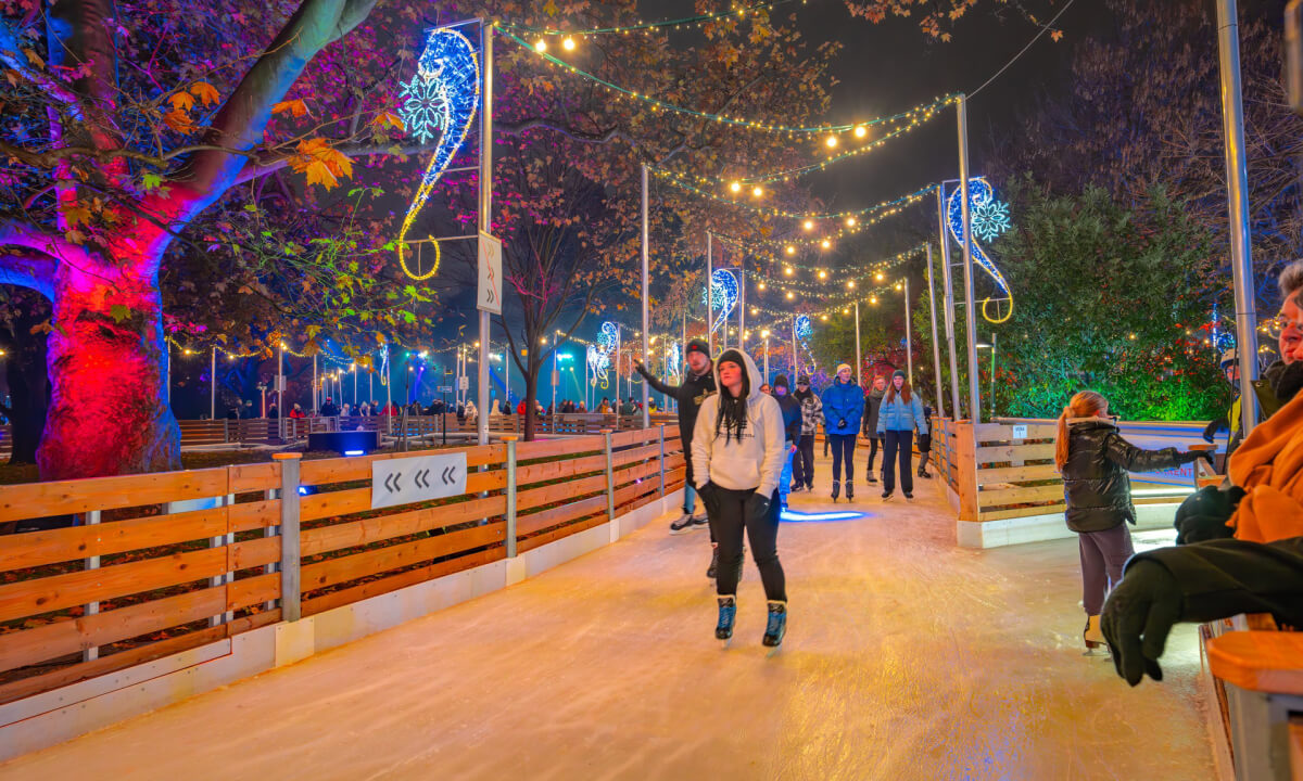 Chợ Wiener Christkindlmarkt có khu vực sân trượt băng rộng khoảng 150 m2, nằm giữa một bên là nhà hát Burgtheater, một bên là tòa thị chính thành phố Vienna.
