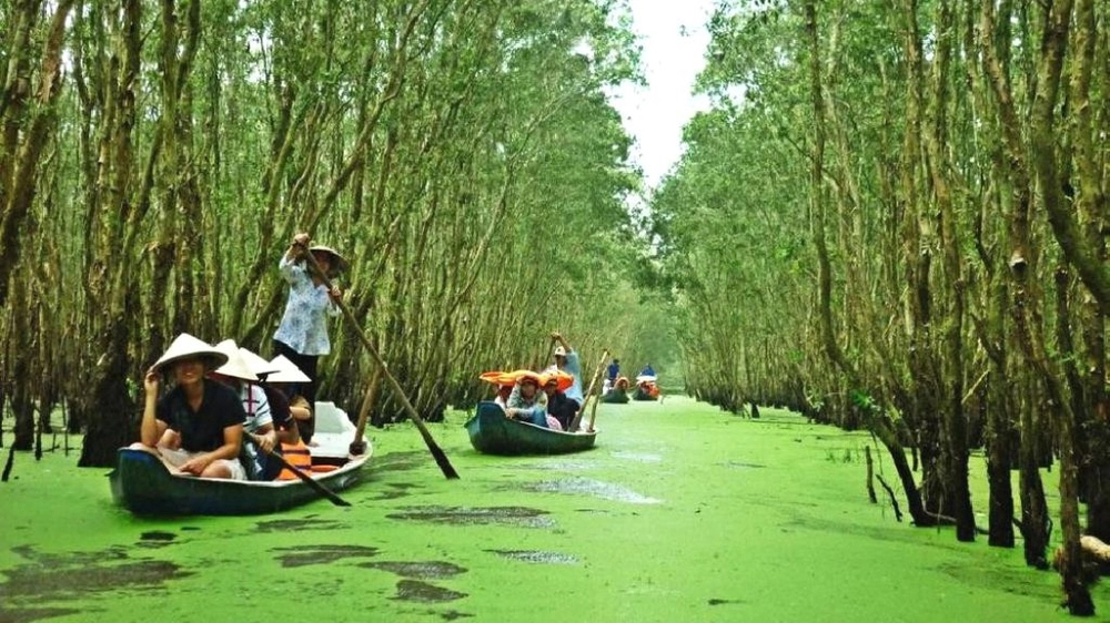  Nơi này có hàng ngàn con dơi đang treo ngược trên cành cây, vì vậy du khách cần phải chú ý giữ yên lặng, tránh nói to hay làm ồn ào để ảnh hưởng đến chúng. 