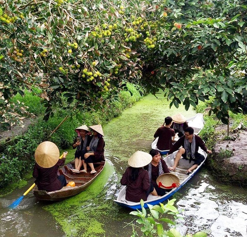 Cần Thơ tháng 11
