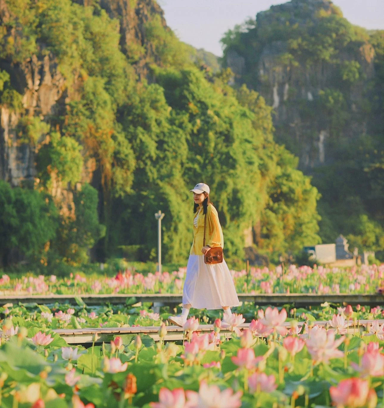 Du khách có cơ hội thưởng thức nhiều loại trái cây nhiệt đới trong mùa hè này.