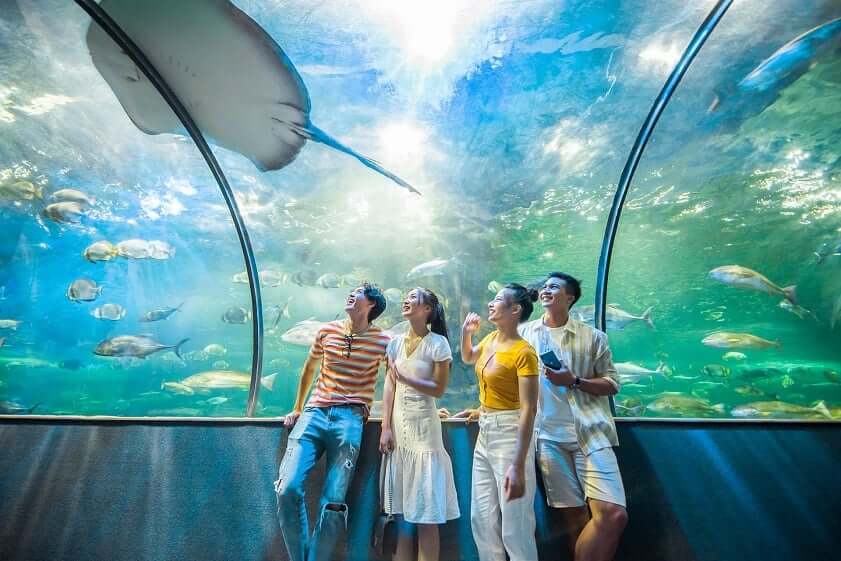 Thủy Cung Times City là thủy cung duy nhất tại Hà Nội với diện tích gần 4.000 m², tương đương với 3 triệu lít nước biển. 