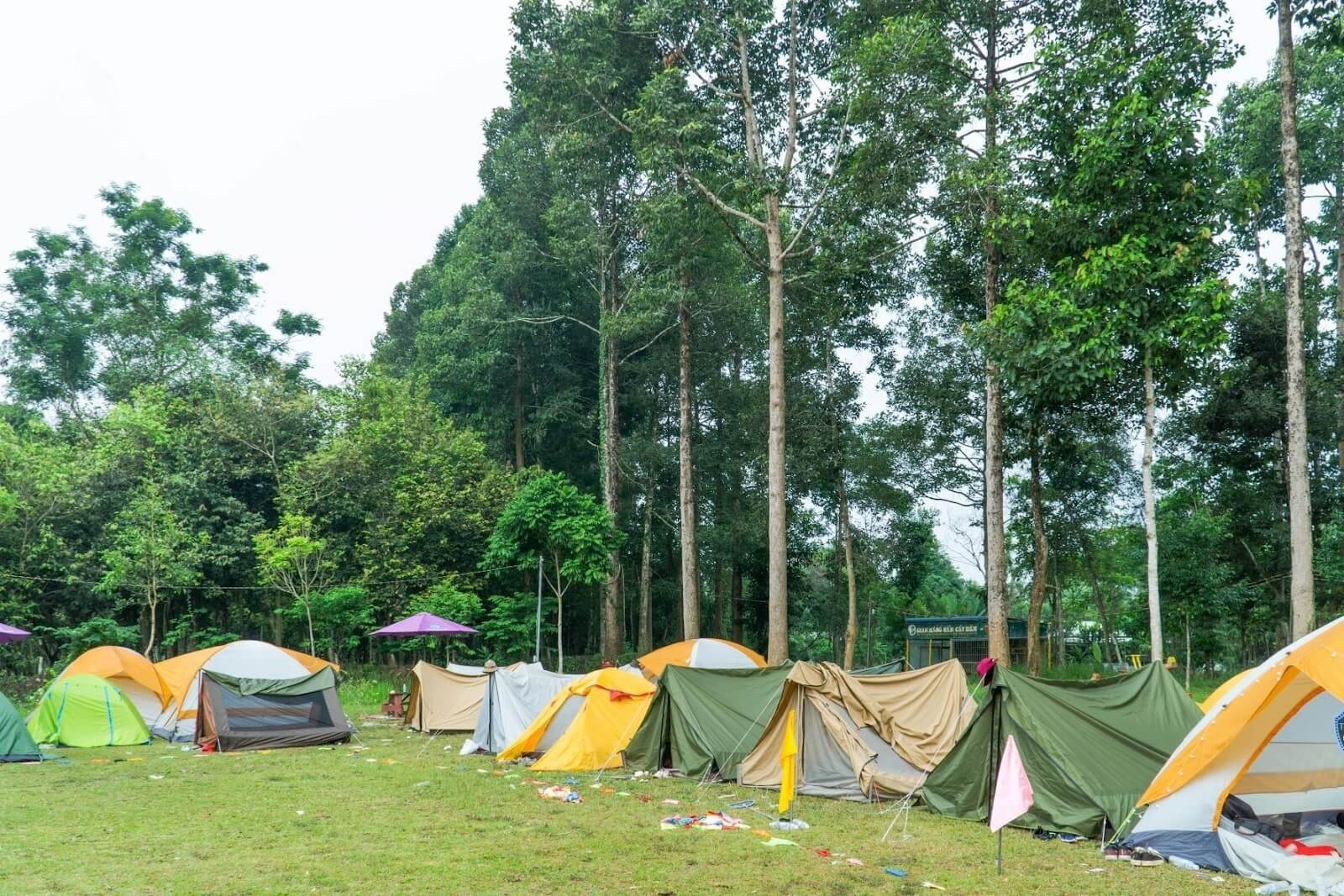Thời điểm lý tưởng để tham quan Vườn quốc gia Cát Tiên là từ tháng 11 đến tháng 5 năm sau.