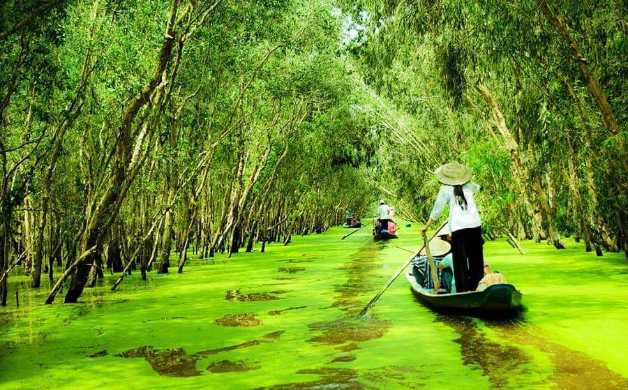 Vẽ đẹp thiên nhiên của rừng U Minh
