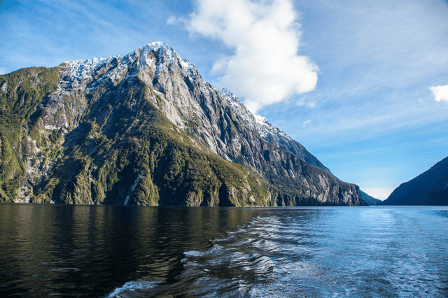 Hoạt động bungee jumping.