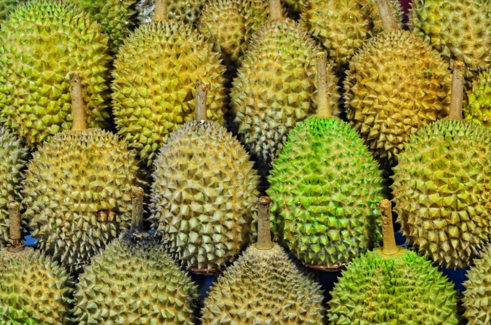 Sầu riêng tại Thái Lan